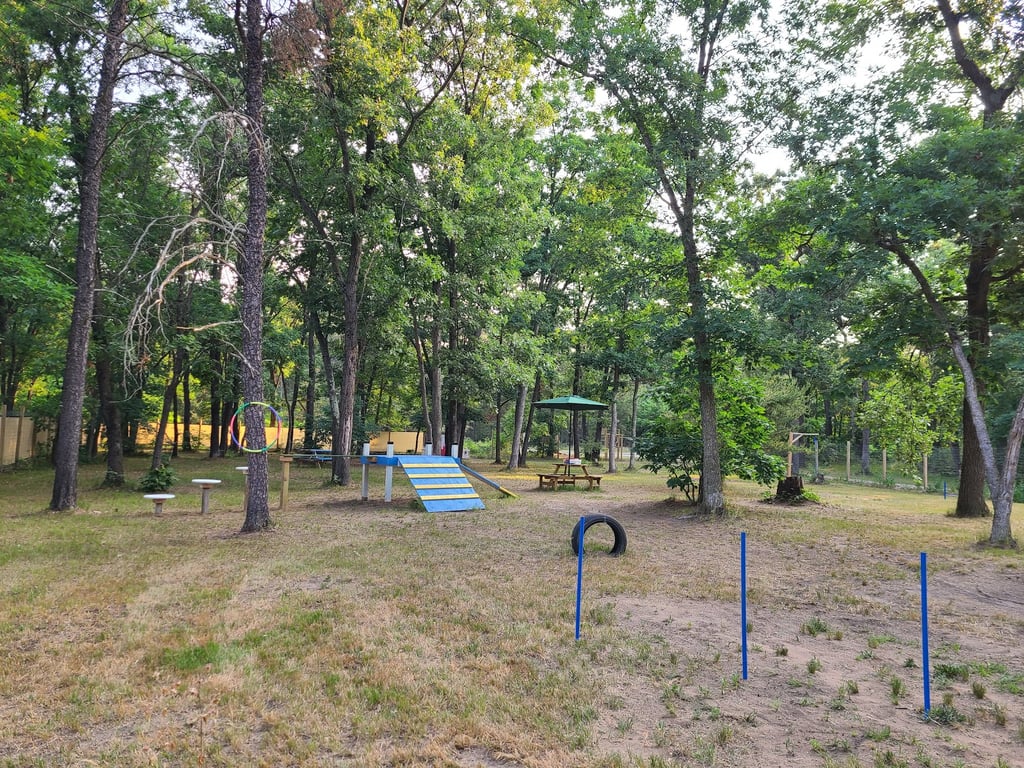 People and Paws Private Reserved Dog Play Park