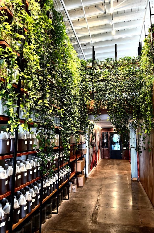 Onyx Coffee Lab – Rogers HQ