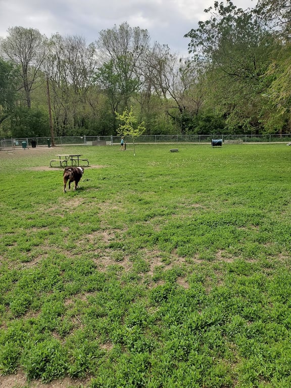 Cotton Park Dog Park
