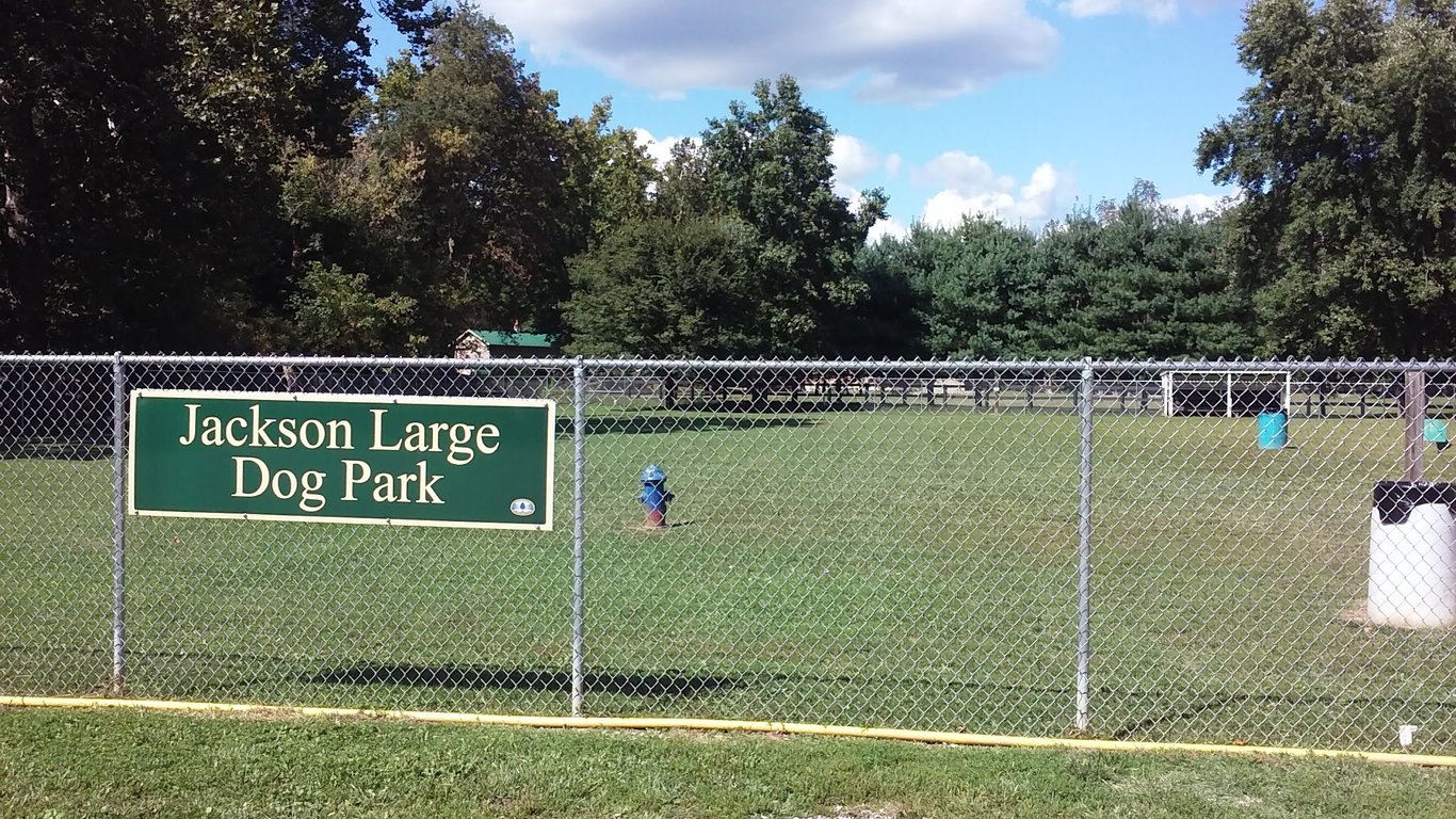 Park for Big Dogs@ Jackson Park