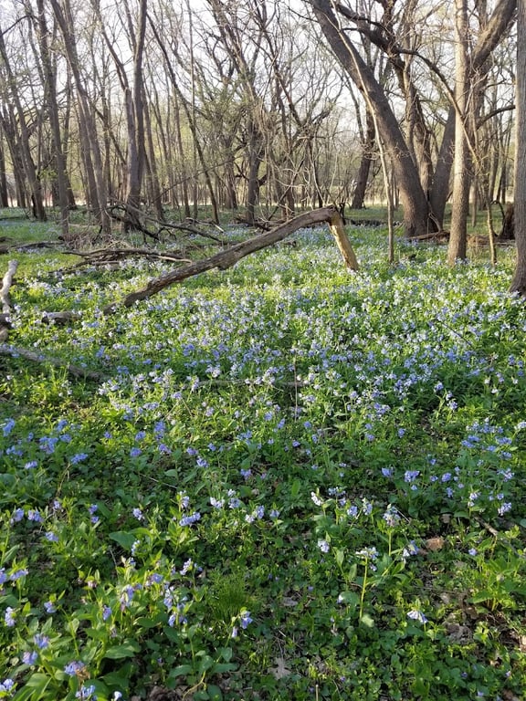 Katoski Greenbelt