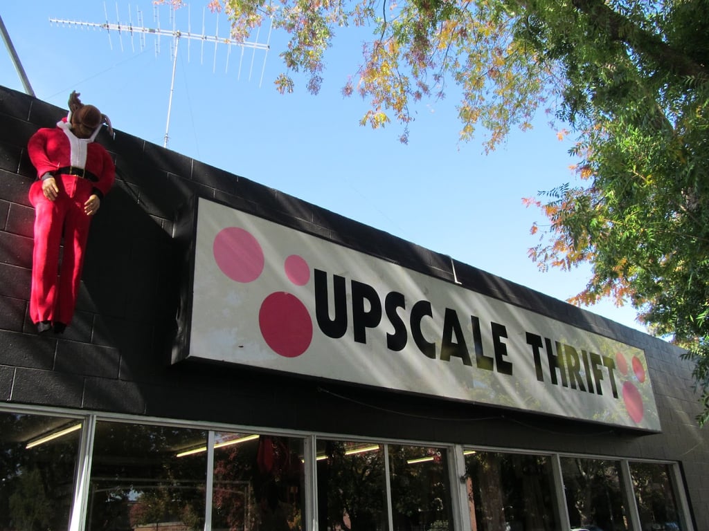Upscale Thrift