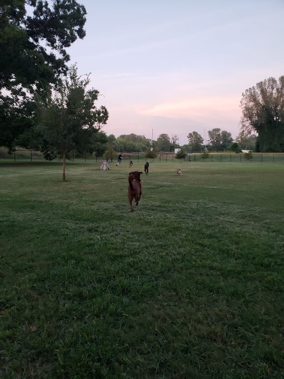 Southpoint Dog Park