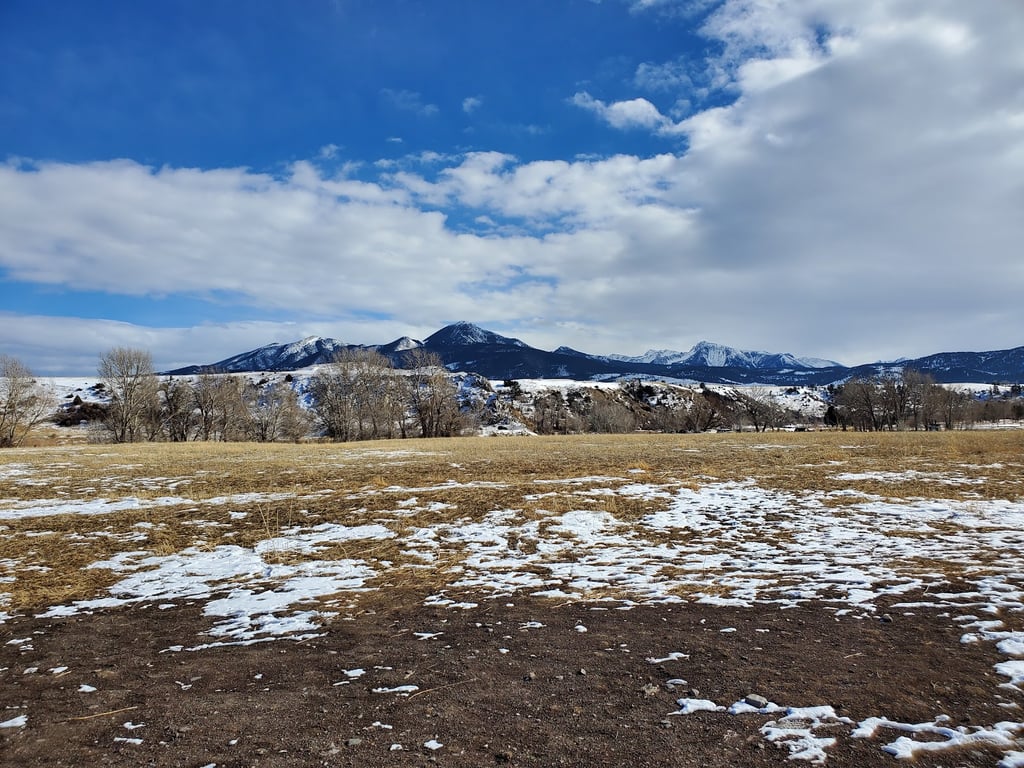 Moja Campbell Dog Park