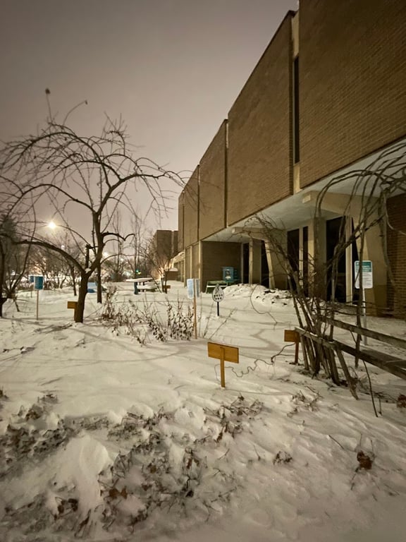 YMCA Community Food Forest