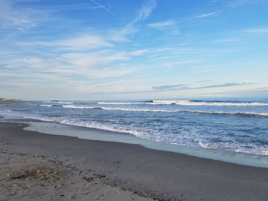 Bradley Cove