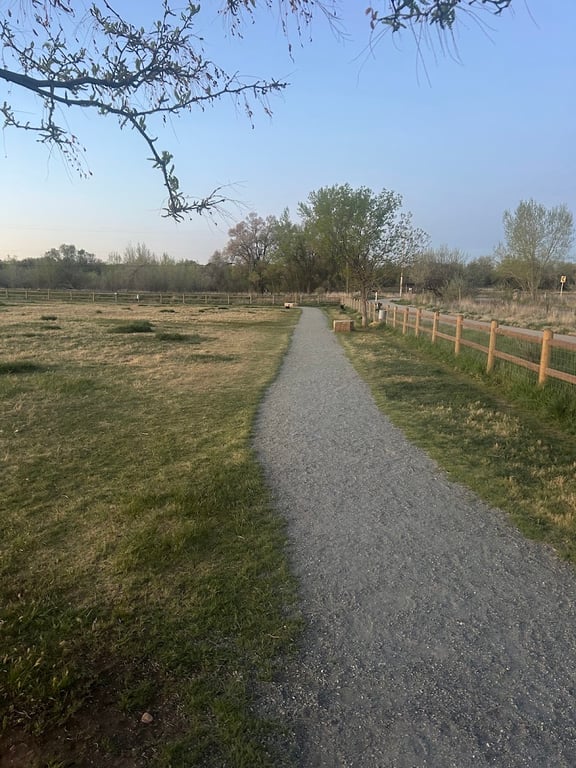 Rover Run Dog Park