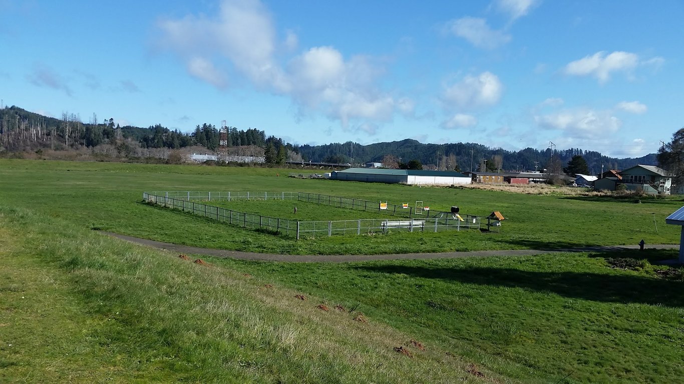 Champion Dog Park