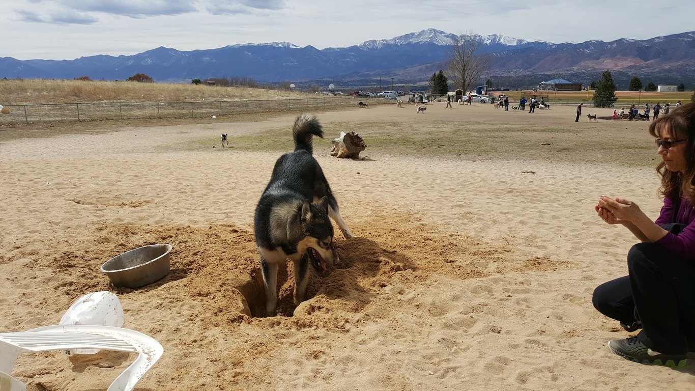 Rampart Dog Park