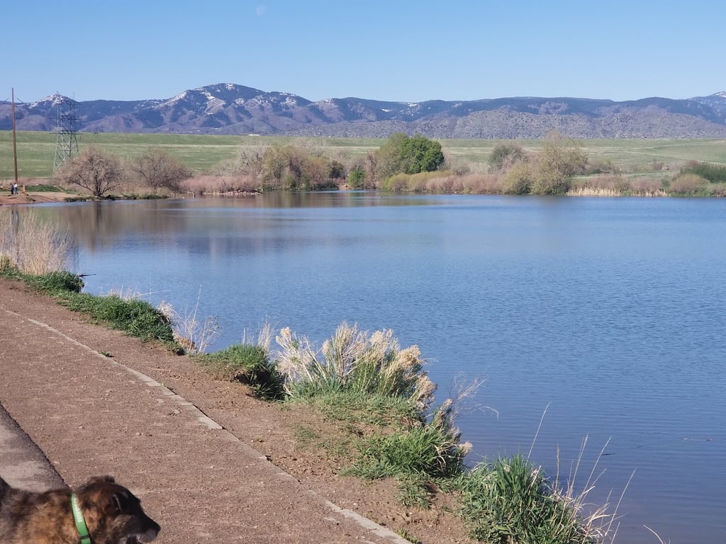 Chatfield Dog Park