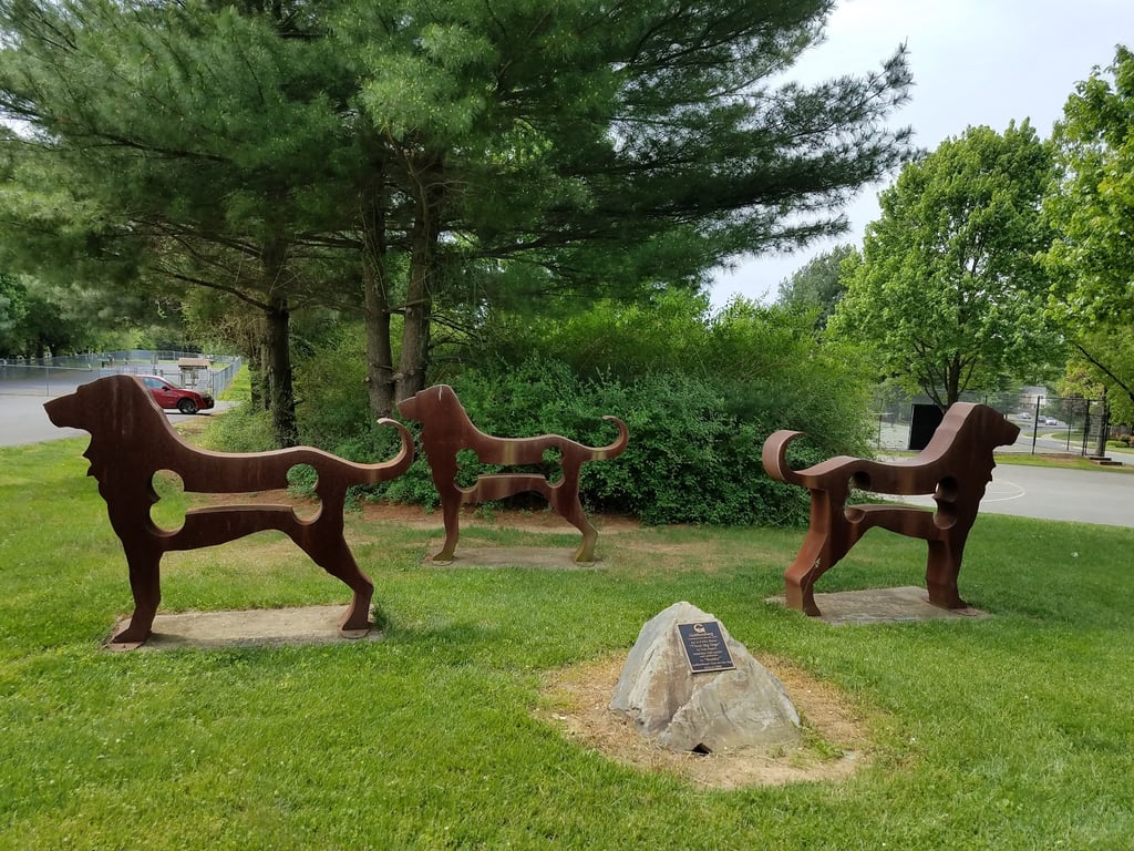Dog Exercise Area at Green Park