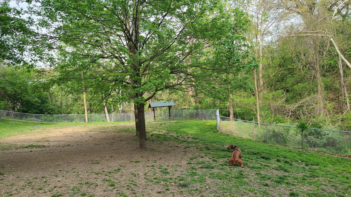 Stanley’s Spot Dog Park