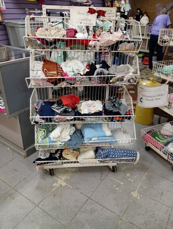 The Free Store