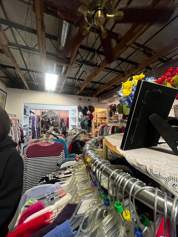 The Thrift Store