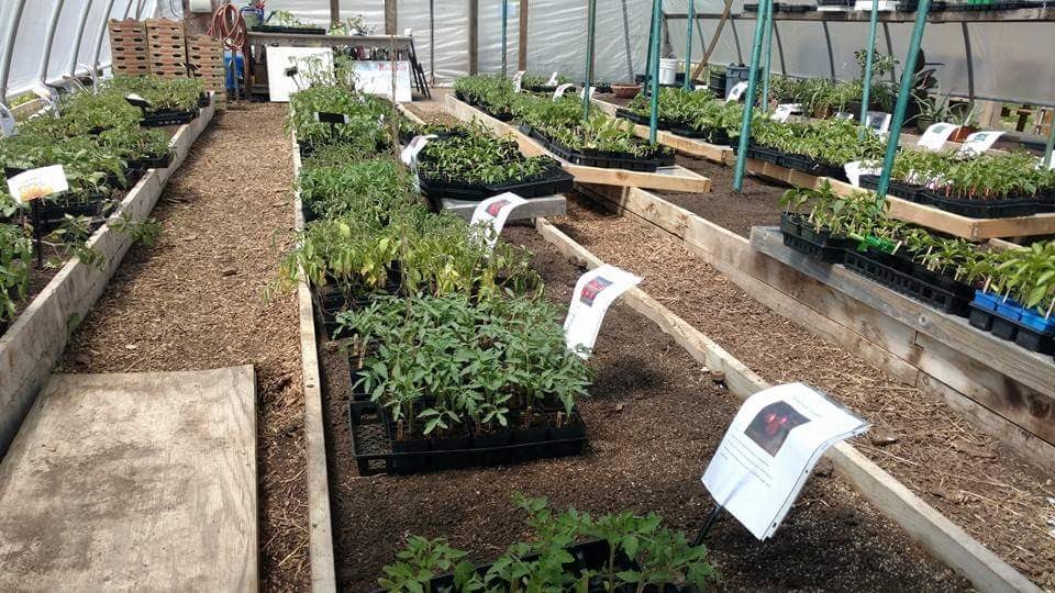 Smart Farm