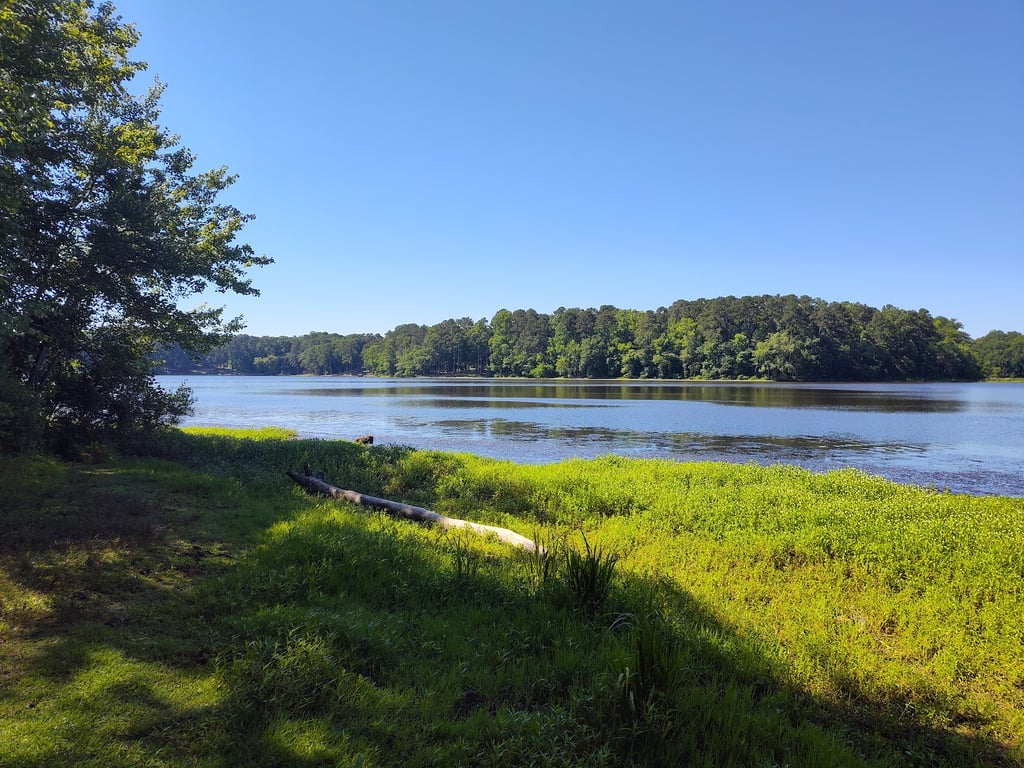 Lake Benson Dog Park