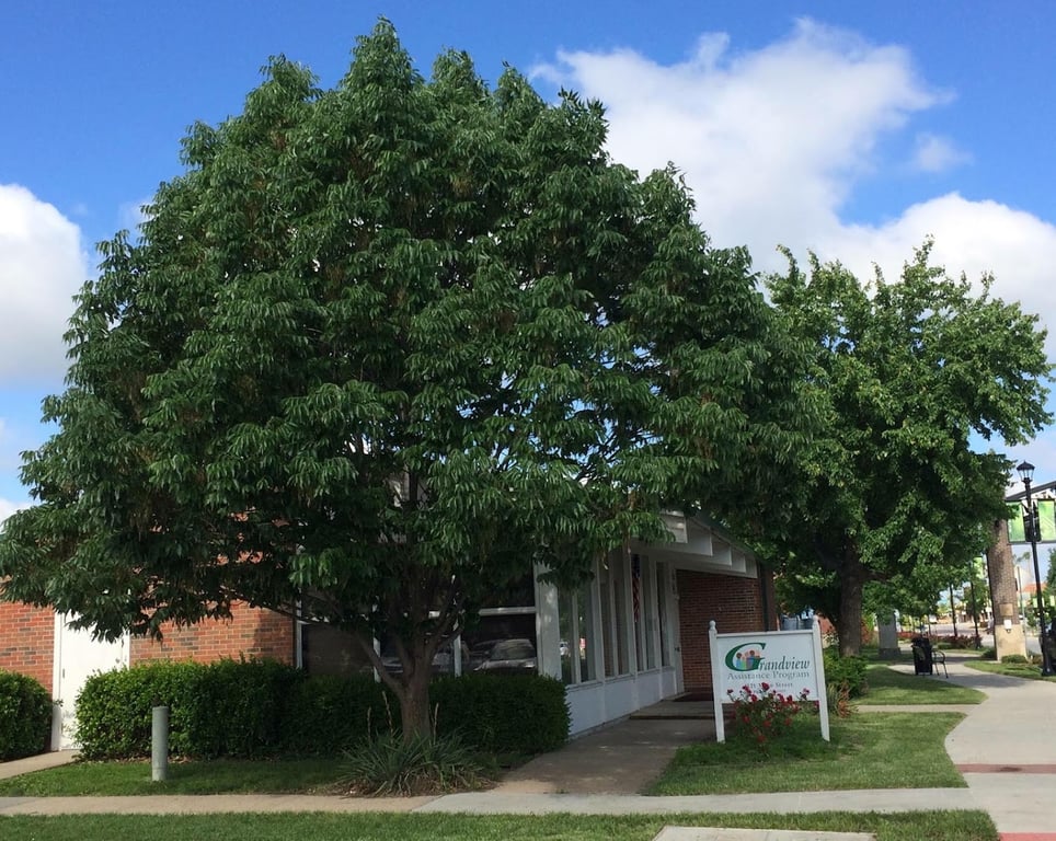 Grandview Assistance Program