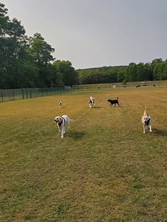 Riverside Dog Park