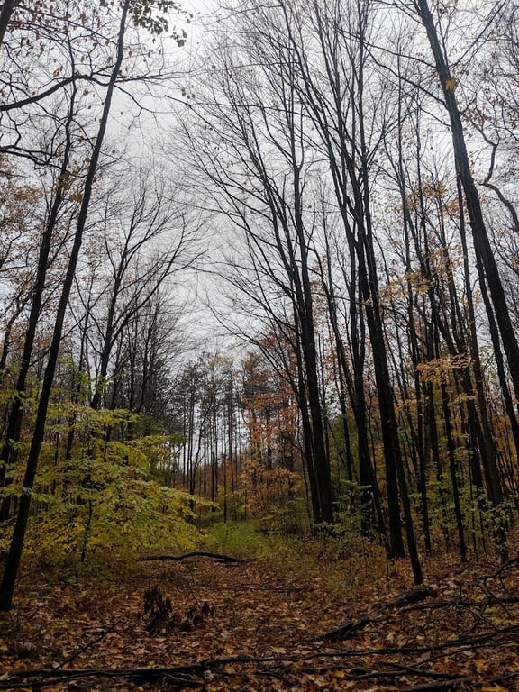 Port Sheldon Natural Area