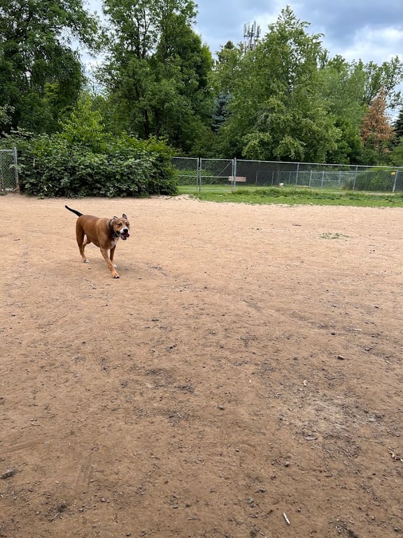 Happy Valley Off Leash Dog Park