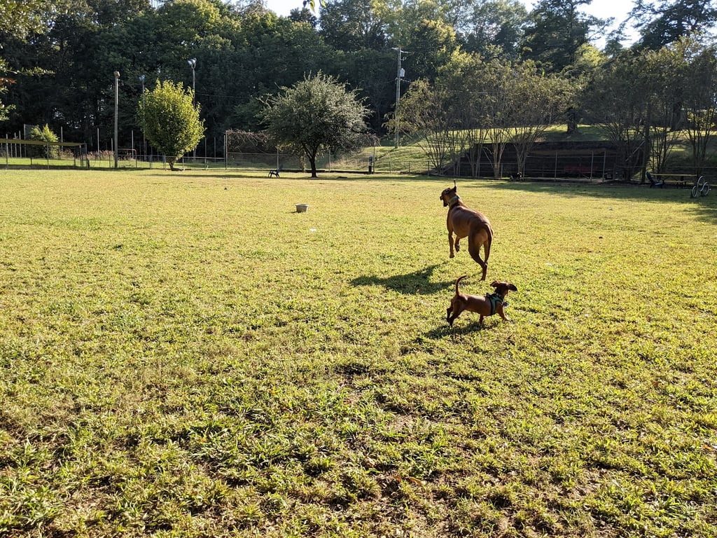 Starkville Dog Park