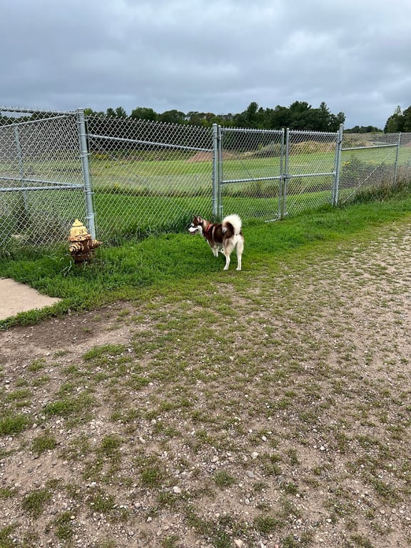 Menomonie Off-Leash Dog Park
