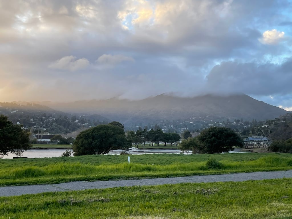 Dog Park | Bayfront Park Mill Valley