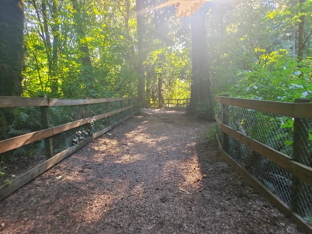 Edith Moulton Off Leash Area