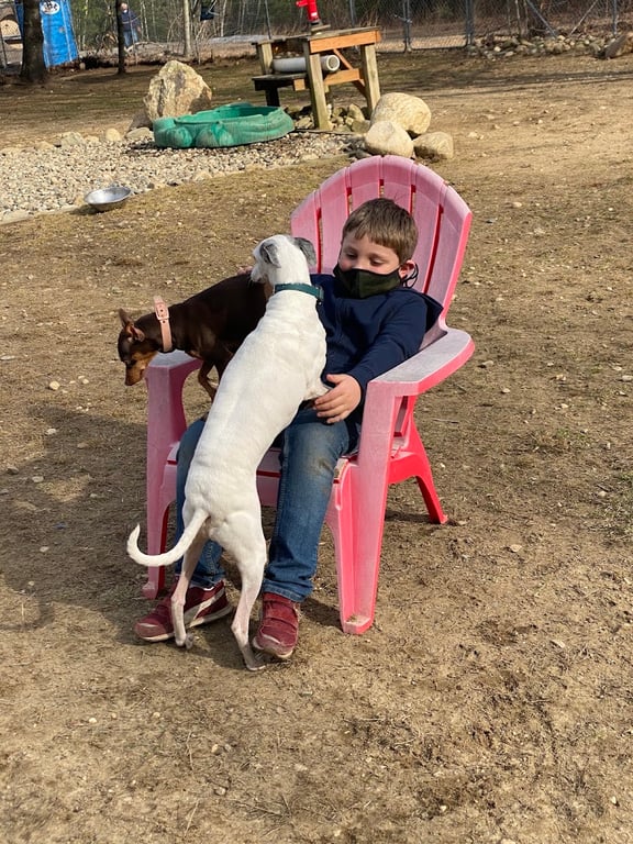 Live Free and Run Dog Park