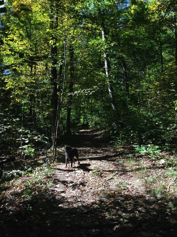 Boynton Park
