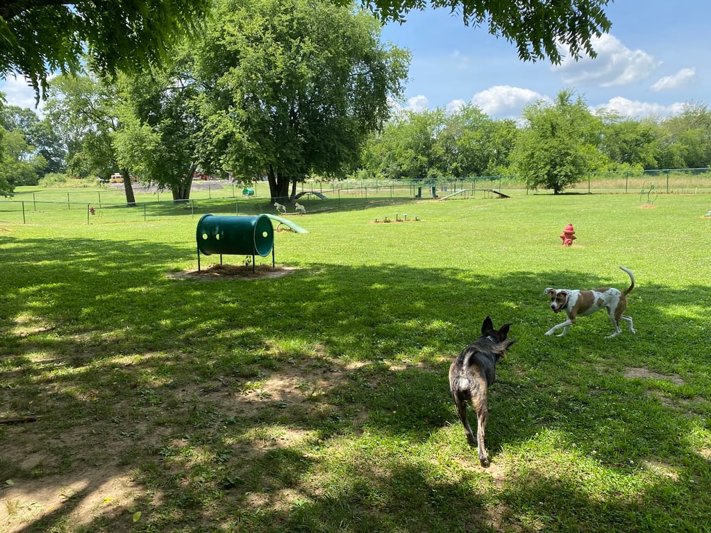 Triple Creek Dog Park