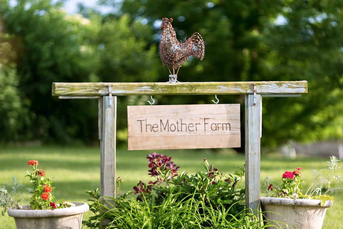 The Mother Farm