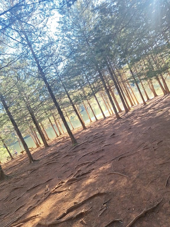 Chris Greene Lake Dog Park