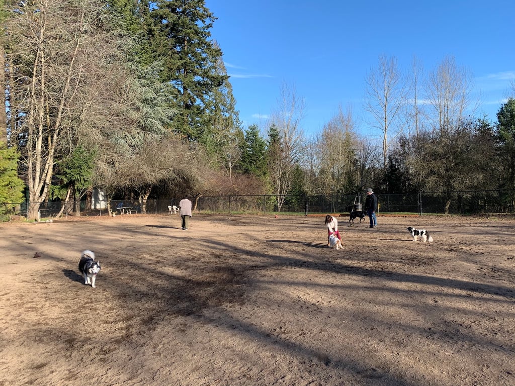 Summerlake Dog Park