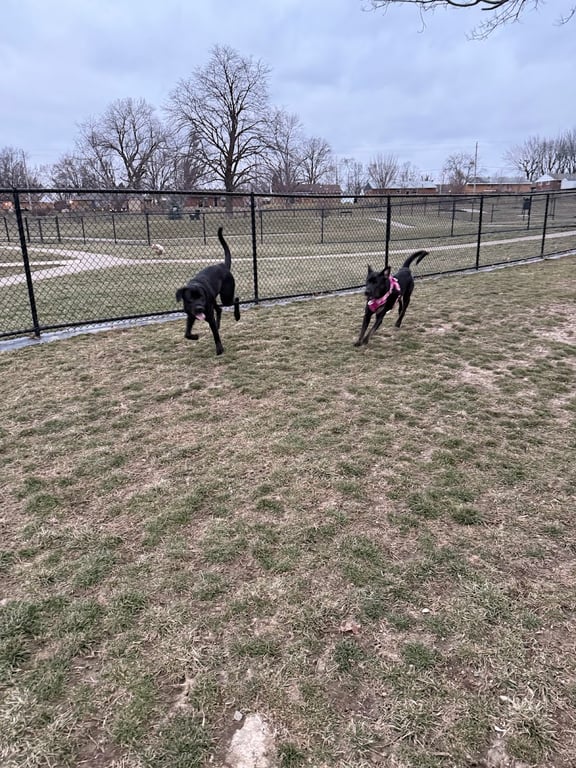 Kitty Hawk/Menlo Dog Park