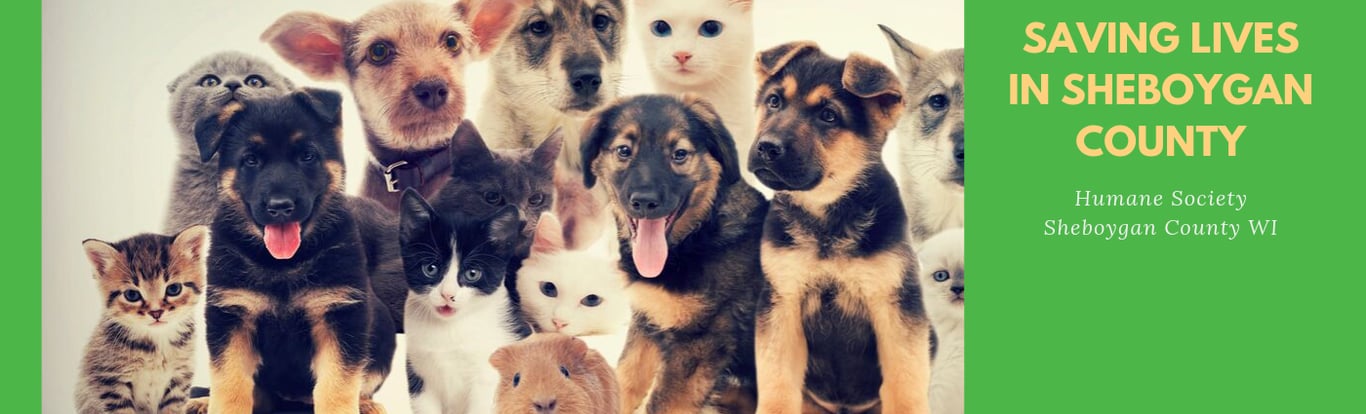 Humane Society of Sheboygan County