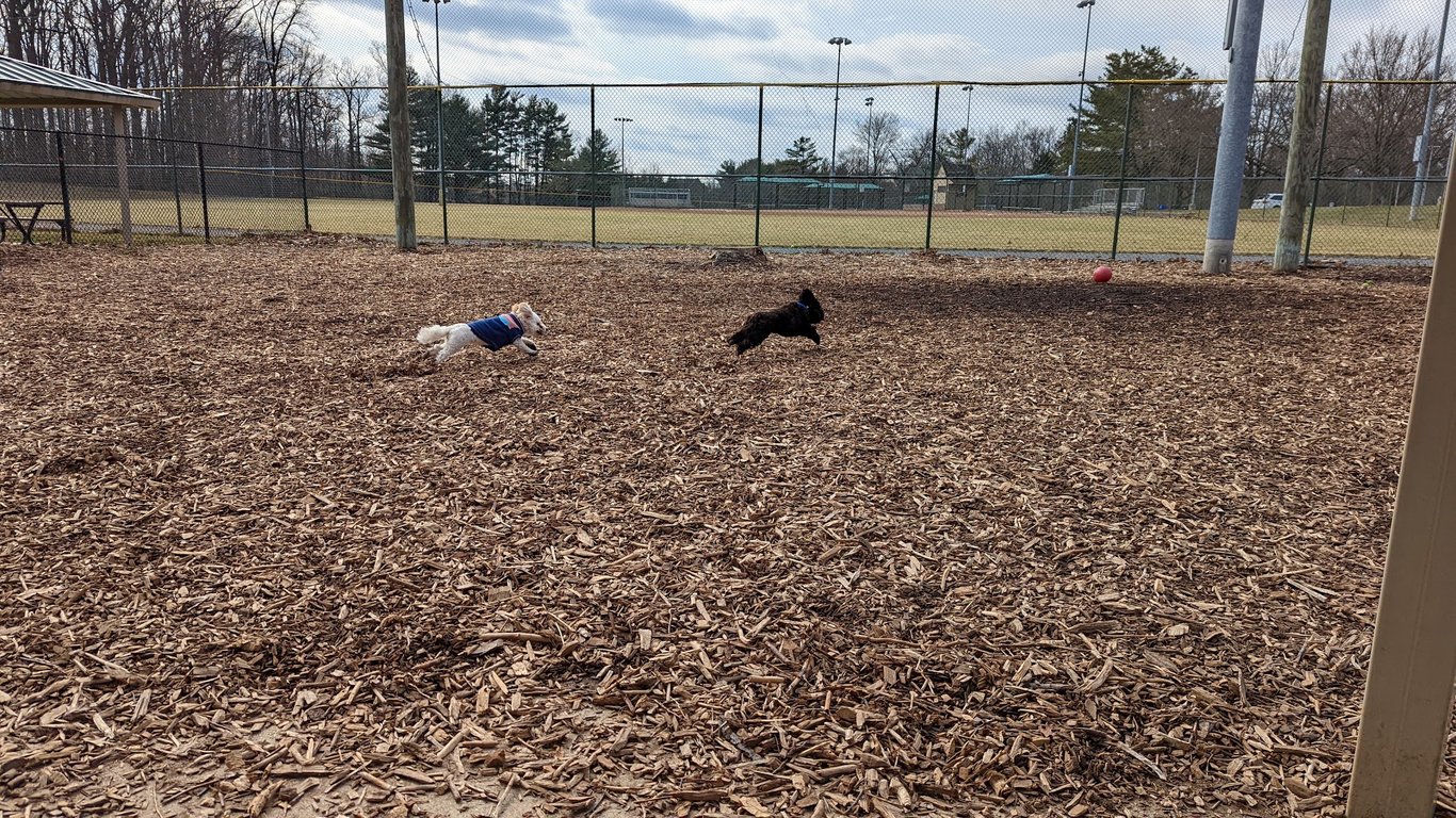 Olney Manor Recreational Park Dog Park