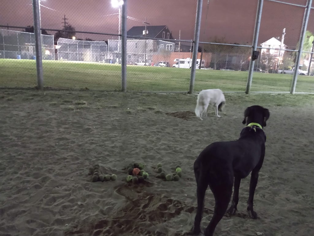 Wisner Dog Park