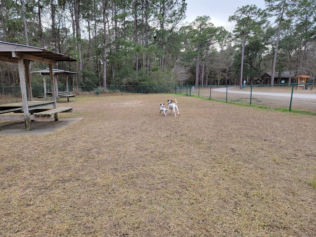 Shepard Park Bark Park