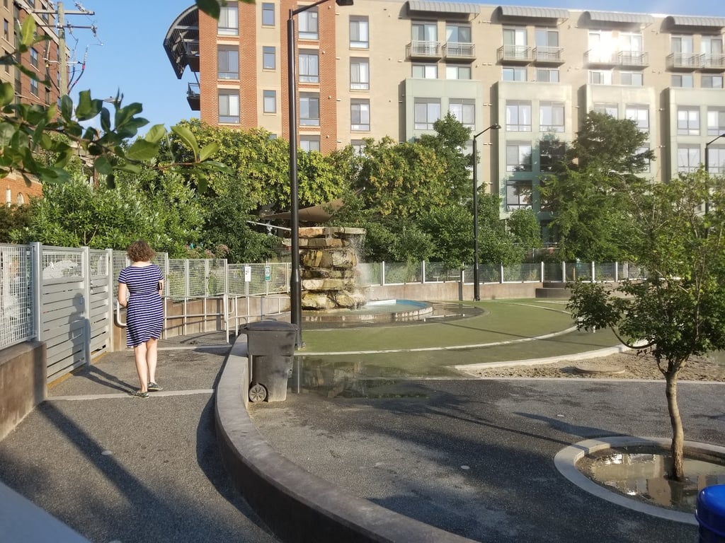 Clarendon Dog Park