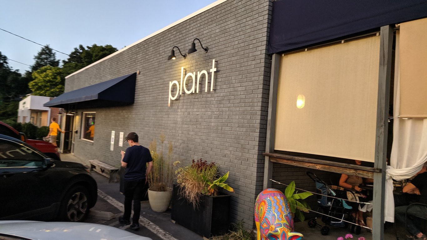plant