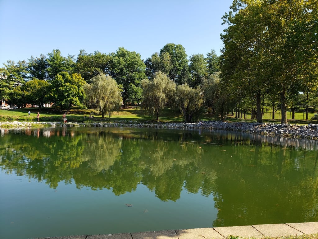Gypsy Hill Dog Park