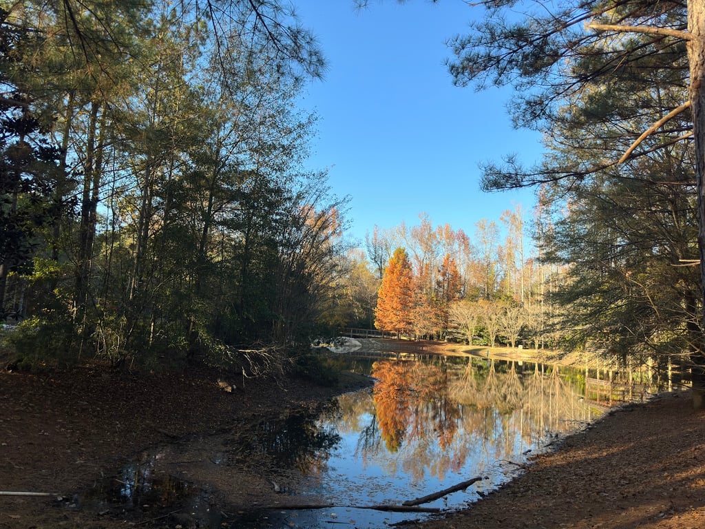 Dog Park