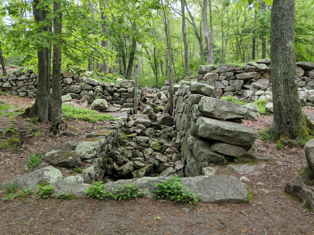 Weetamoo Woods & Pardon Gray Preserve