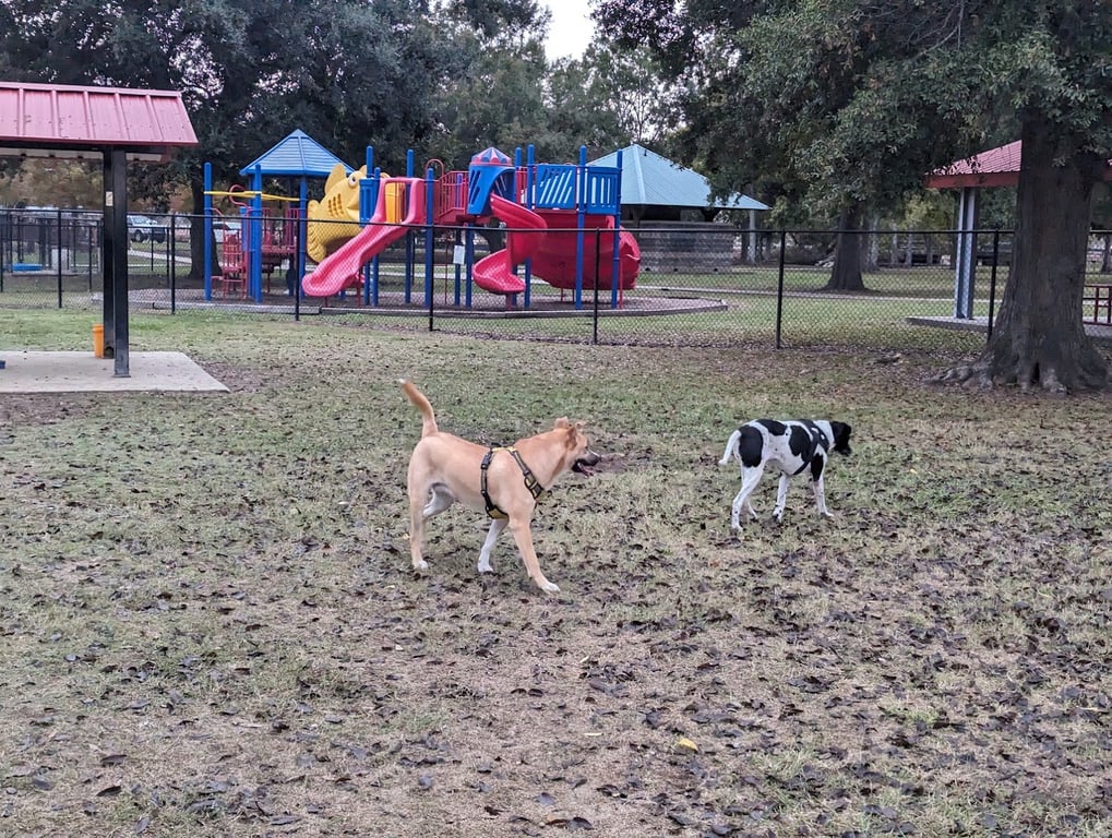 Beaullieu Park Dog Park