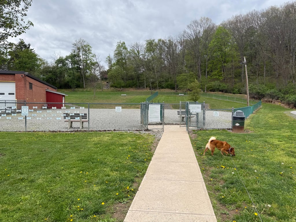 Loyalsock Dog Park
