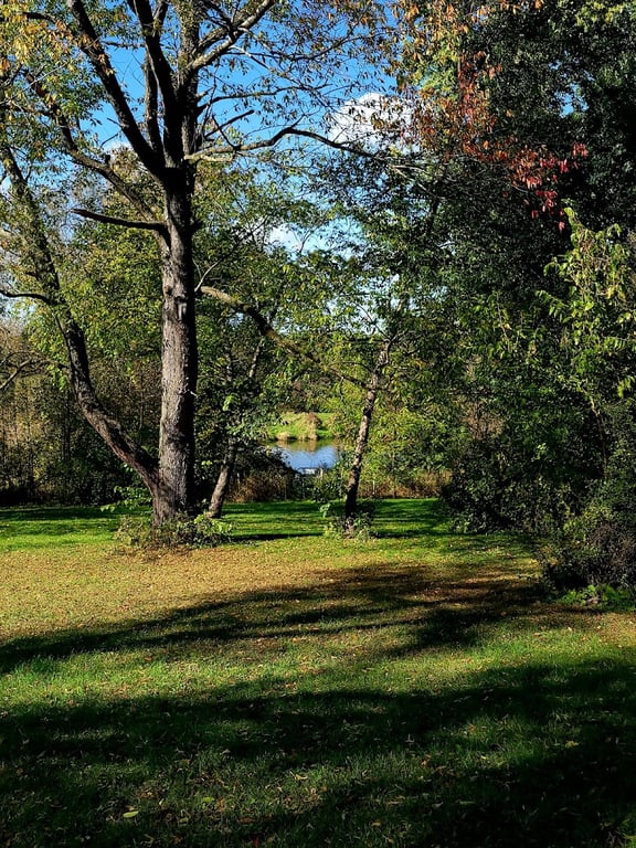River Run Dog Park