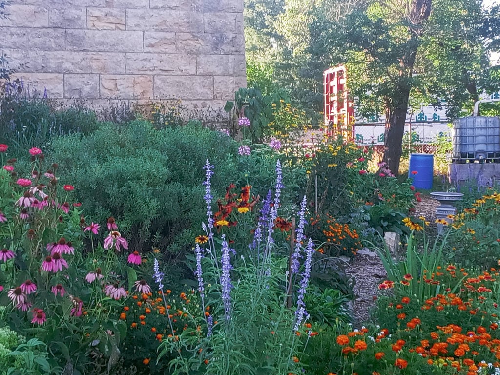 Kane St Community Garden