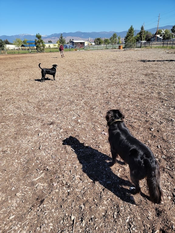 Rail Link Dog Park B.C.