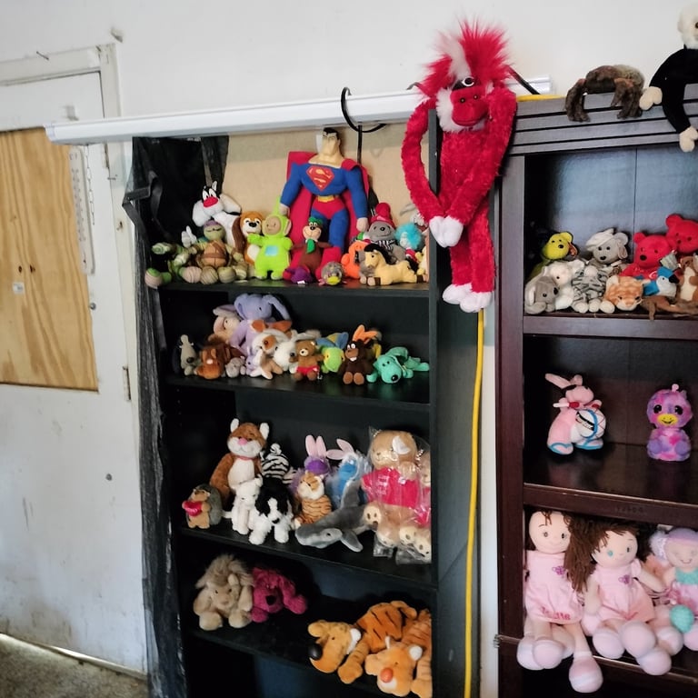 The Carrico Store